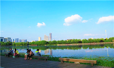 桃子湖水環(huán)境綜合治理